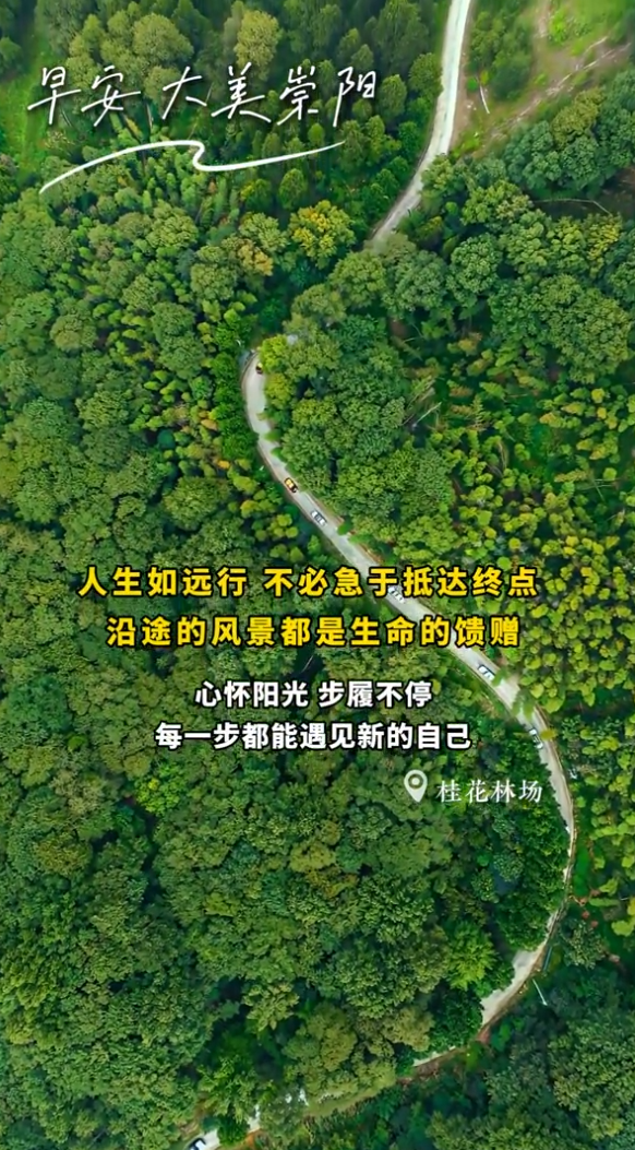 早安·大美崇阳