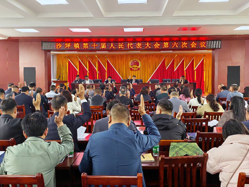 崇阳县沙坪镇：人大会议票决民生实事 部署代表行动助力绿色发展.jpg