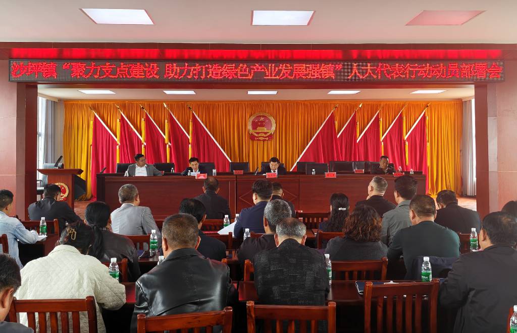 崇阳县沙坪镇：人大会议票决民生实事 部署代表行动助力绿色发展1.jpg