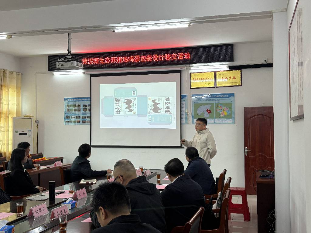 设计 助农 崇阳县黄泥塘生态鸡蛋穿上“新衣”.jpg