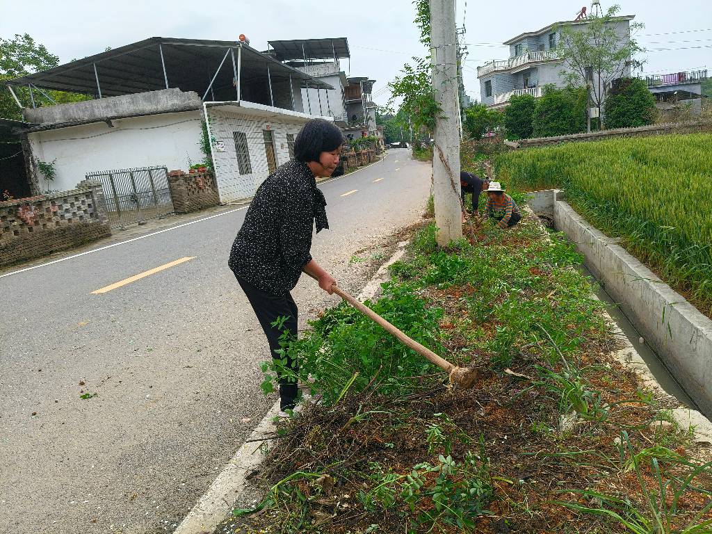崇阳：一人一花一条街，金姐的“花”开了2.jpg