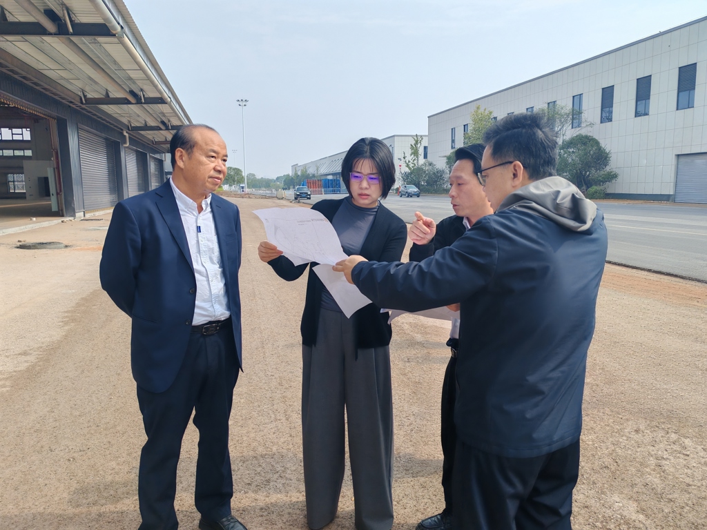 张晓丹调研项目谋划工作：科学统筹谋项目 惠及民生促发展