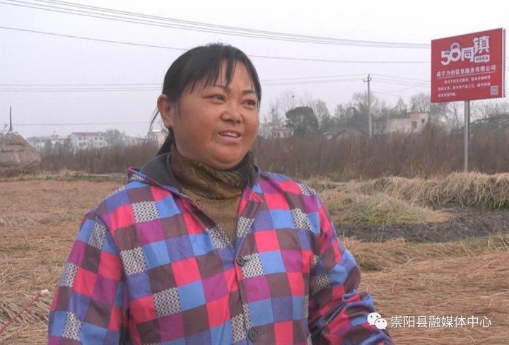 荸荠种植户 雷碧华