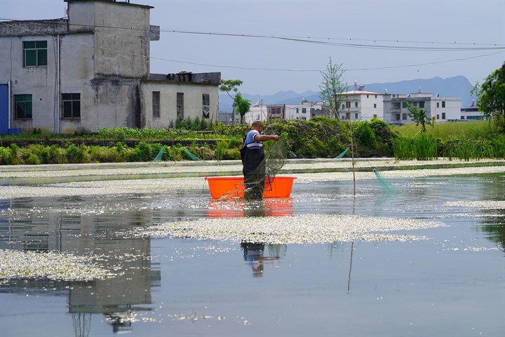 正在上传...