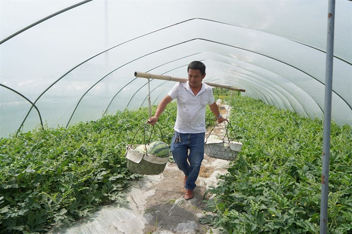 正在上传...