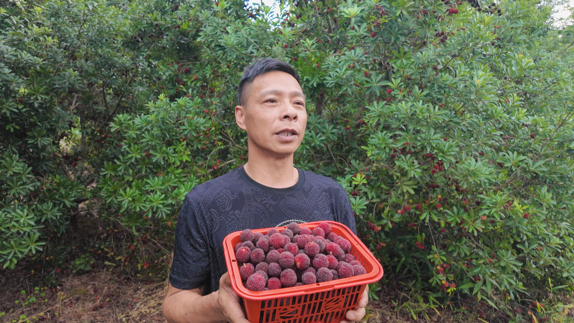 正在上传...