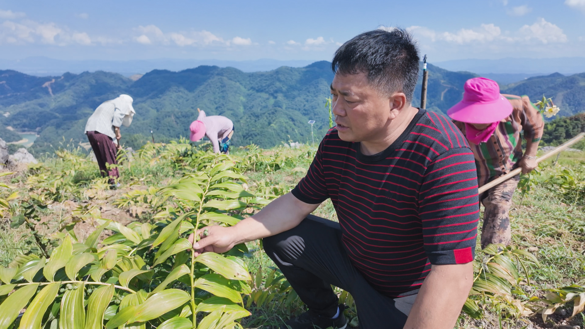 正在上传...