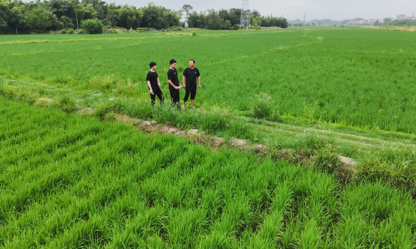 正在上传...