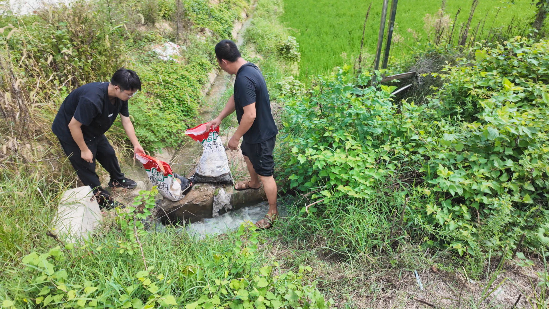 正在上传...