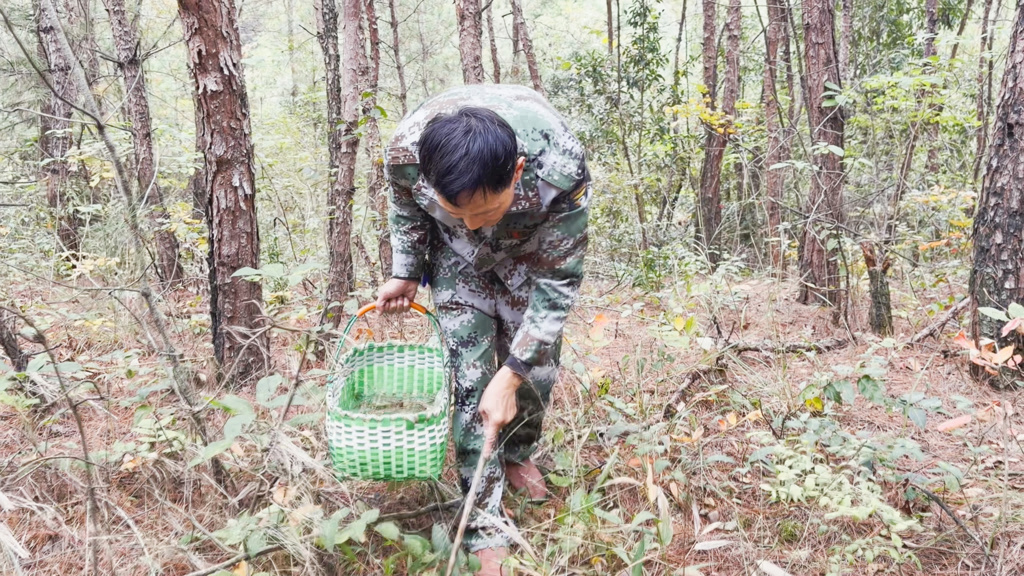 正在上传...