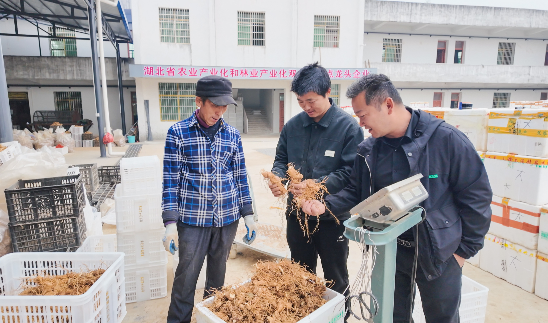 正在上传...