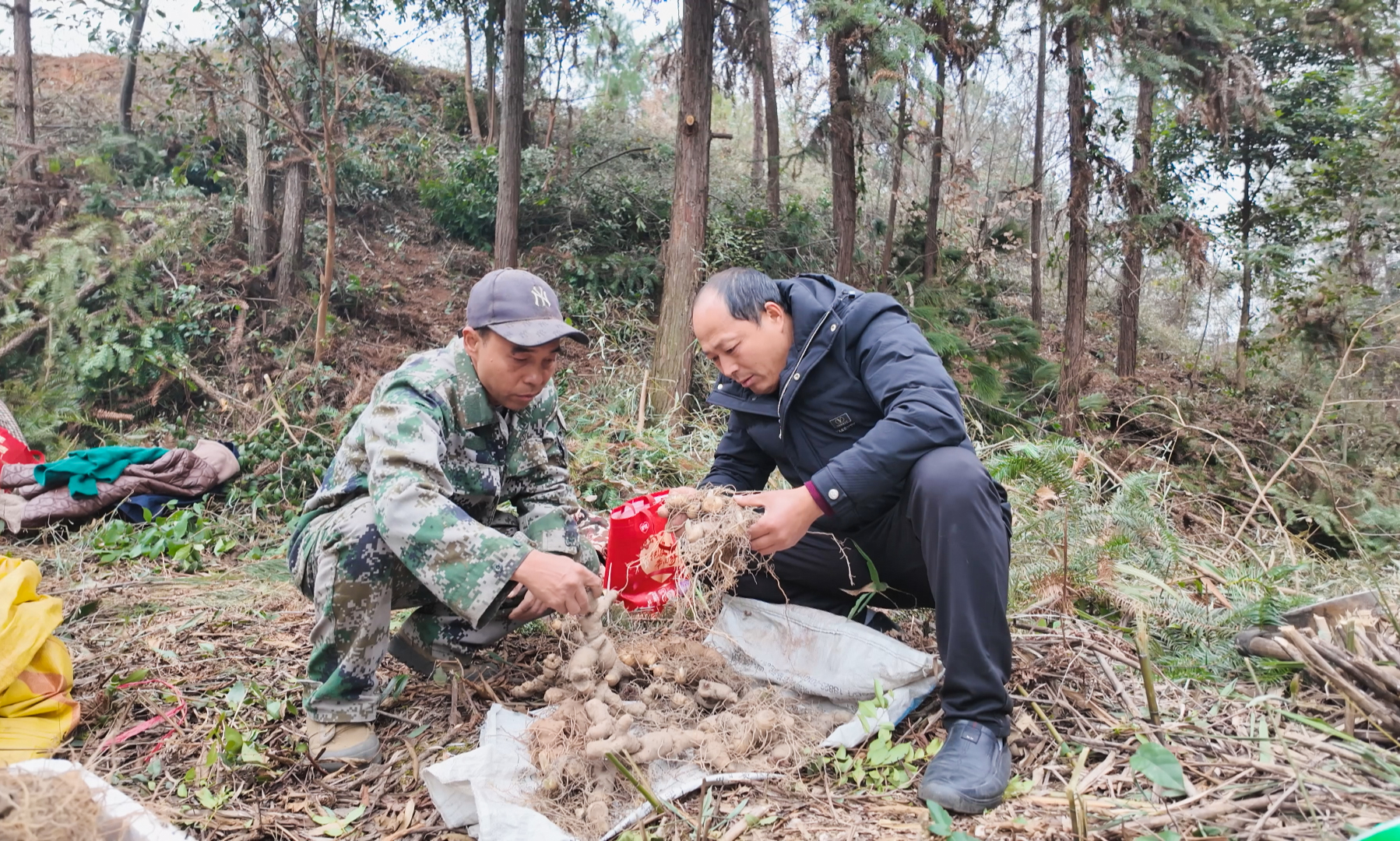 正在上传...