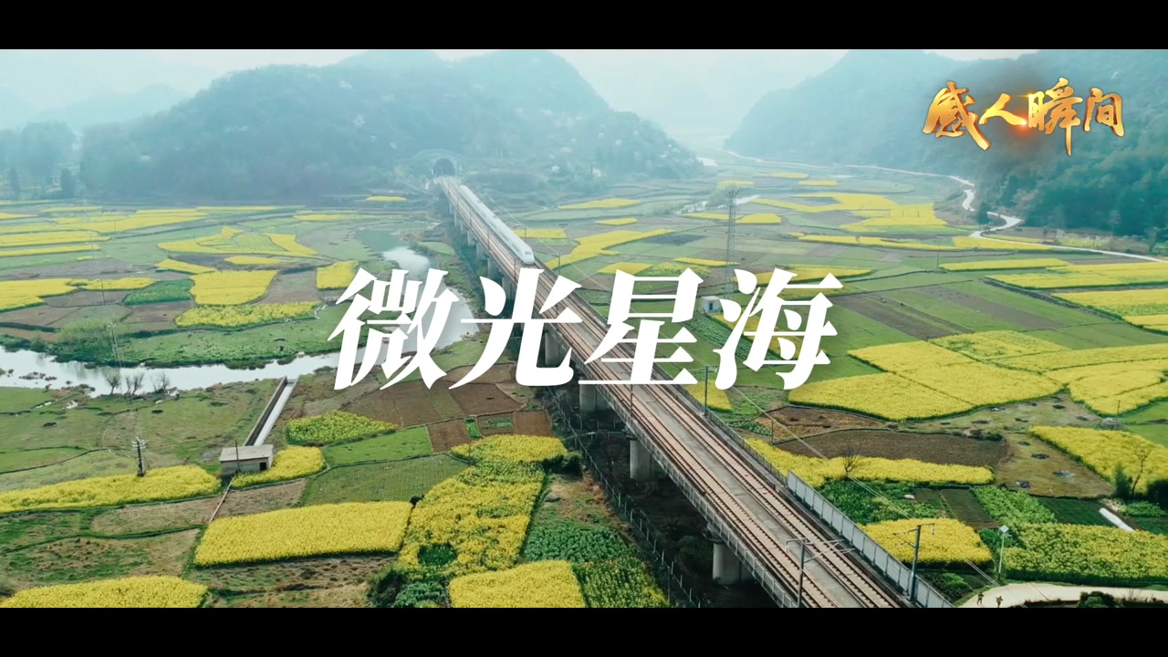 微光星海