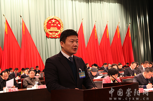 副县长石磊向大会作关于崇阳县第十七届人大会议期间代表提出的议案