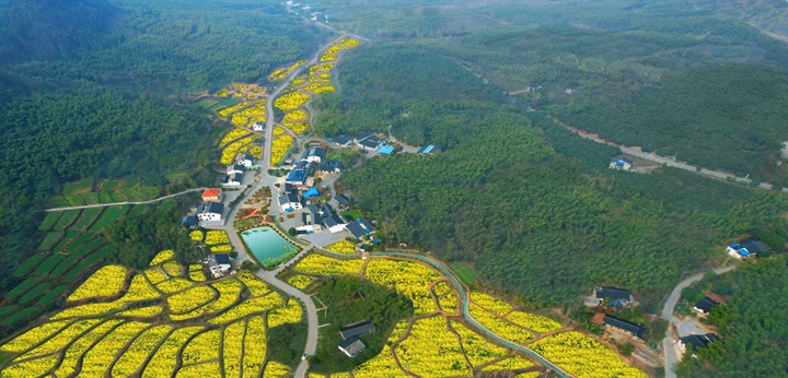 崇阳县桂花泉镇桂花村环境美起来腰包鼓起来