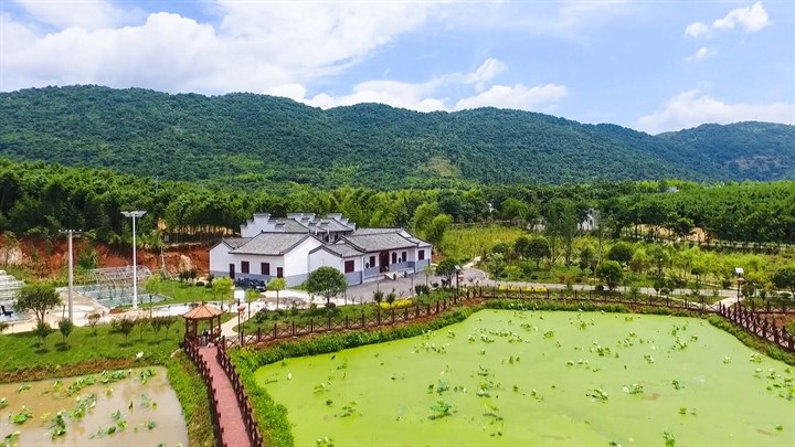 崇阳县桂花泉镇桂花村环境美起来腰包鼓起来
