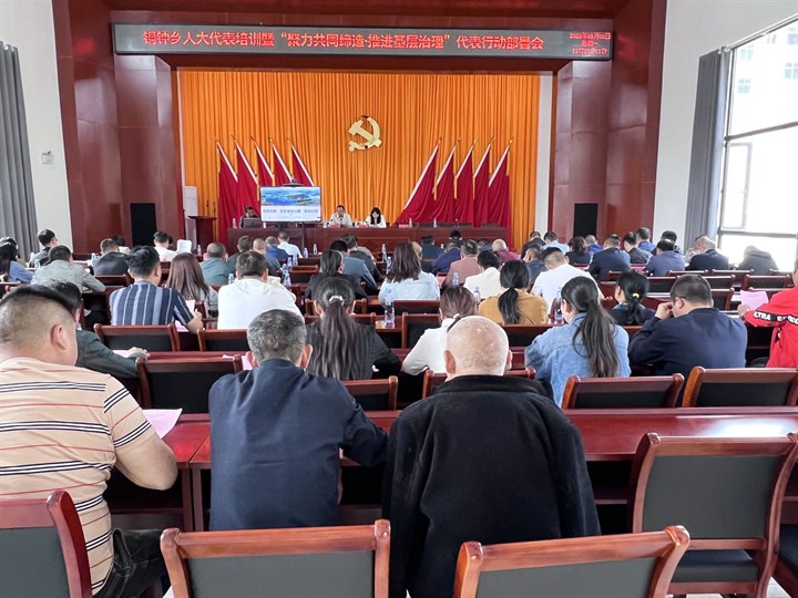 崇阳县铜钟乡举行人大代表培训暨聚力共同缔造推进基层治理代表行动