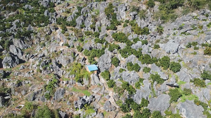 记者乡村行179崇阳县路口镇石头缝里种黄金致富路上果飘香