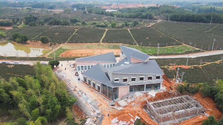 抢跑在春天崇阳县石城镇踏春提速乡村振兴添新彩