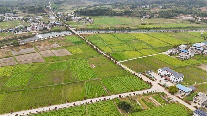 崇阳县石城镇花开田园春意浓